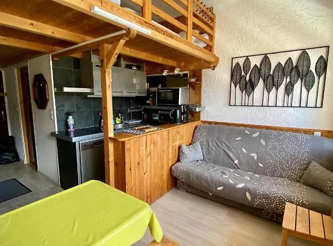 Super Lioran - Appartement Entierement Equipe