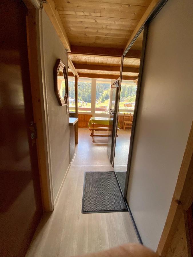 Super Lioran - Entierement Equipe Apartment